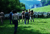 Thumb_a-herd-of-sheep-and-6-people-looking-toward-it_-one-person-pointing
