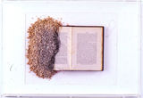 Thumb_one-third-of-the-book-is-burnt-and-covered-brown-chunks