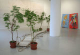 Thumb_2-plants-on-two-sides-connecting-a-make-shift-bridge-on-the-ground-and-2-paintings-in-the-background-of-animal-like-figures-looking-at-each-other